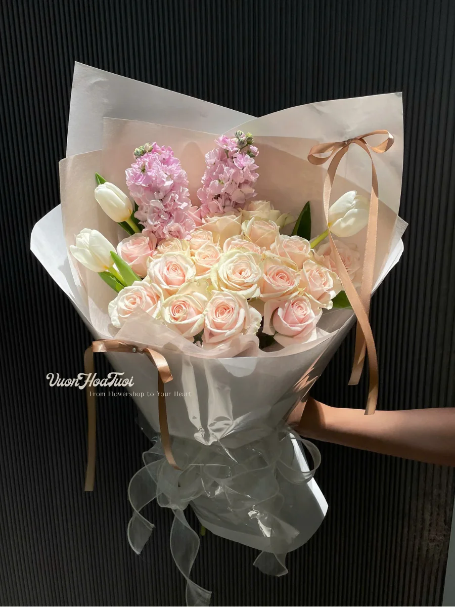 Tulip-Rose-Pink
