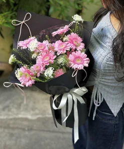 Hoa Đồng tiền Dreaming