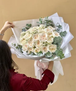 Hoa hồng Love Song