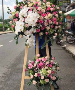  Grand Bloom – Khởi Đầu Rực Rỡ