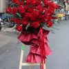 Ruby Blossom – Phát Lộc Đỏ Thắm