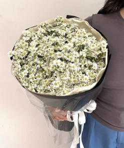 Thạch Thảo White Monte